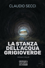 La stanza dell’acqua grigioverde