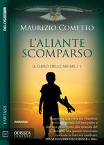 L'aliante scomparso