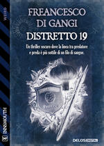 Distretto 19
